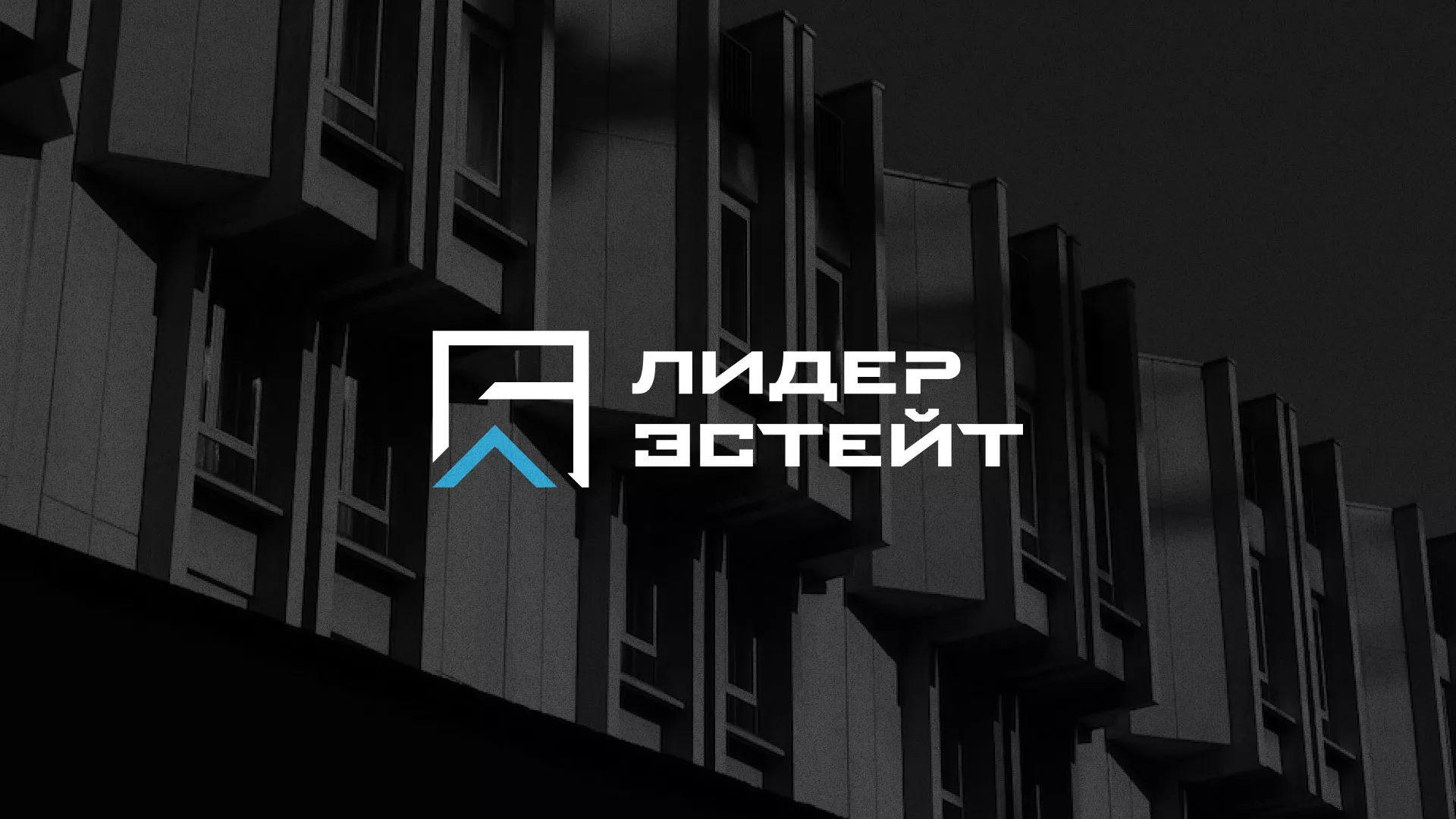 Разработка логотипа агентства недвижимости «Лидер Эстейт» в Асбесте